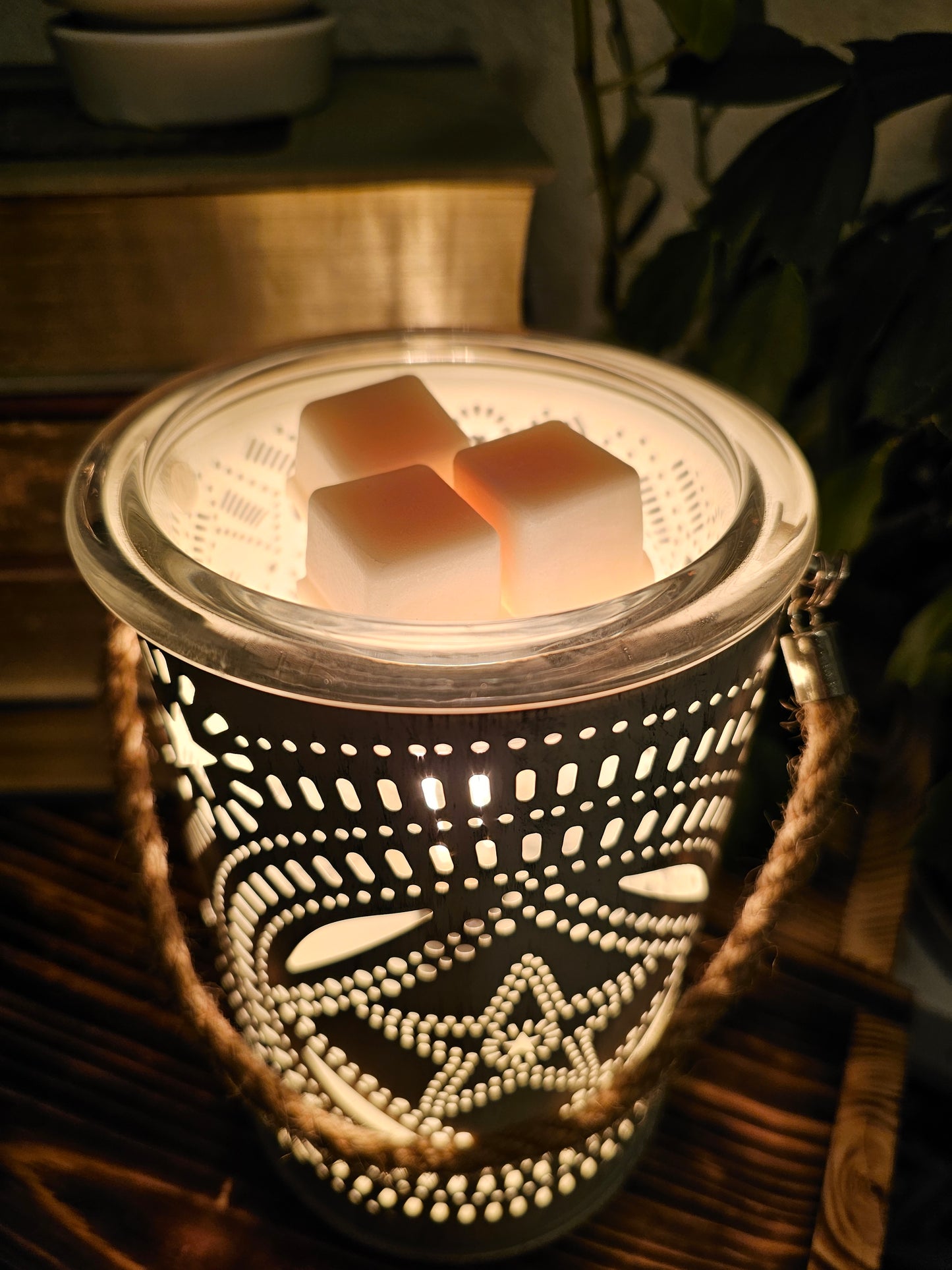 Lone Star Vintage Illumination Wax Warmer